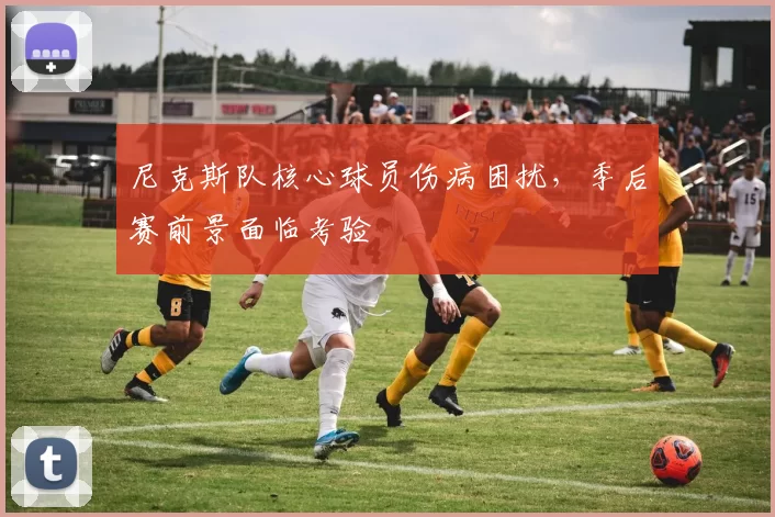 尼克斯队核心球员伤病困扰,季后赛前景面临考验