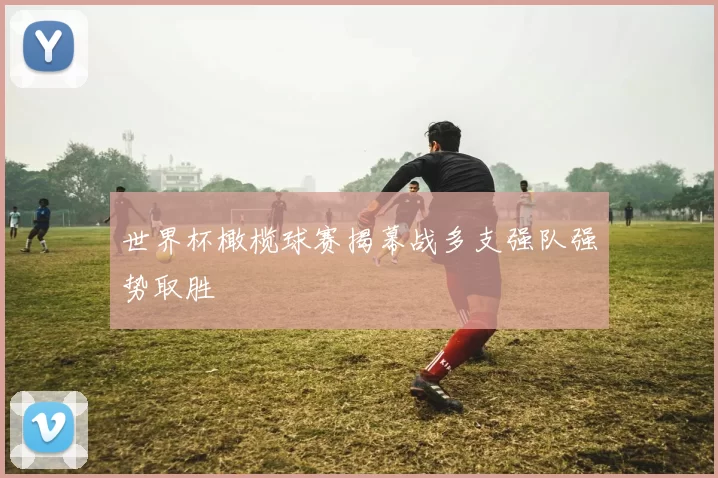 世界杯橄榄球赛揭幕战多支强队强势取胜