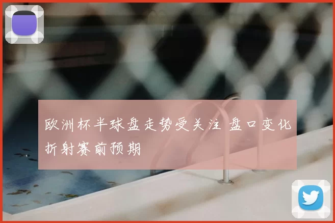 欧洲杯半球盘走势受关注 盘口变化折射赛前预期