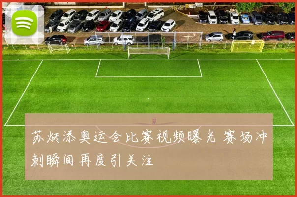 苏炳添奥运会比赛视频曝光 赛场冲刺瞬间再度引关注