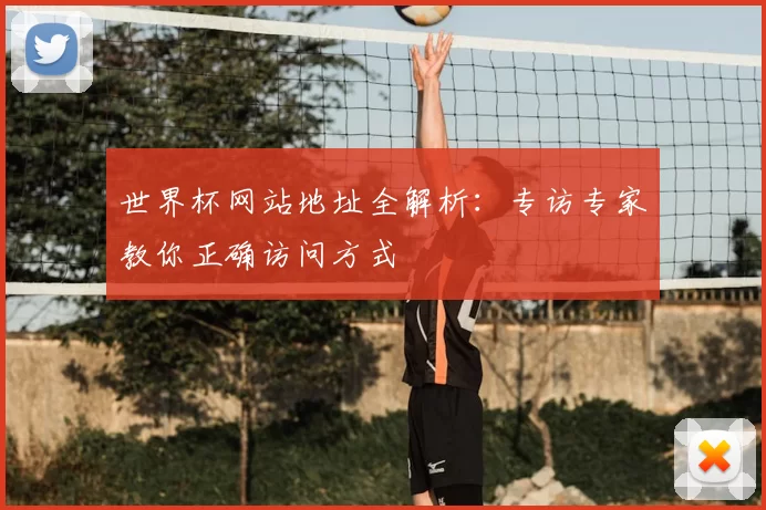世界杯网站地址全解析:专访专家教你正确访问方式