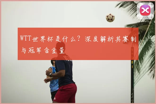 WTT世界杯是什么?深度解析其赛制与冠军含金量