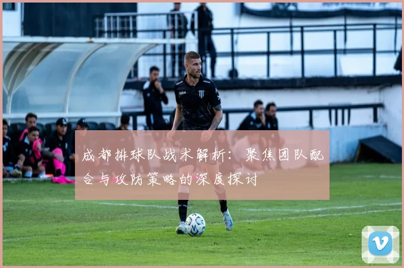 成都排球队战术解析:聚焦团队配合与攻防策略的深度探讨