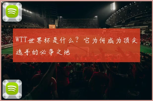 WTT世界杯是什么？它为何成为顶尖选手的必争之地