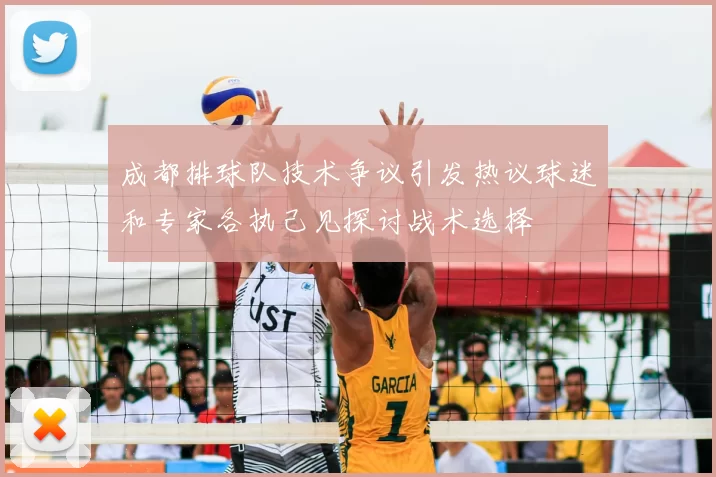 成都排球队技术争议引发热议球迷和专家各执己见探讨战术选择