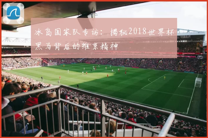 冰岛国家队专访:揭秘2018世界杯黑马背后的维京精神