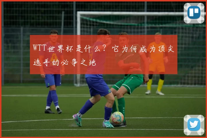 WTT世界杯是什么？它为何成为顶尖选手的必争之地